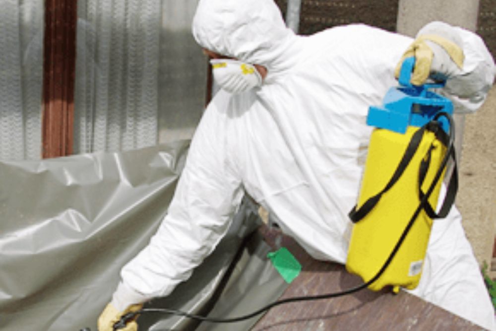 Professional Asbestos Testing Services: Protect Your Home and Workplace Safely